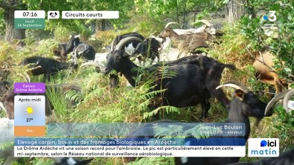 À Jaunac, La Ferme Boulon, picodons, Caillés doux de St Félicien, fourmettes et tommes fraîches, châtaignes