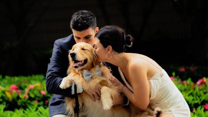 Good-Boy Dog Carries Owner's Wedding Dress So It Doesn't Drag On Ground | Happily TV