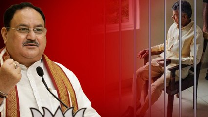Chandrababu ను ఉద్దేశ్య పూర్వకంగా, రాజకీయ కారణాలతో Arrest చేసారు - JP Nadda | Telugu OneIndia