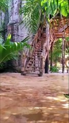 Présentation Baobab Africa Lodge (version mobil)