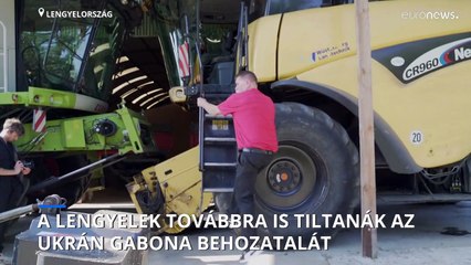 Aggódnak a lengyel gazdák, mindjárt lejár az ukrán gabona behozatali tilalma