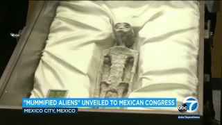 Real 'mummified aliens' have been unveiled by the Mexican government