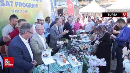 Bursa’nın 'Siyah incisi’nde hasat başladı