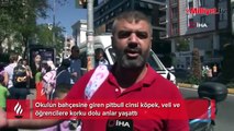 Okul bahçesinde pitbull paniği! Ekiplere haber verildi