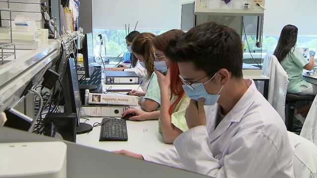 Seis nuevos tumores de pronóstico desfavorable se beneficiarán de la inmunoterapia nivolumab