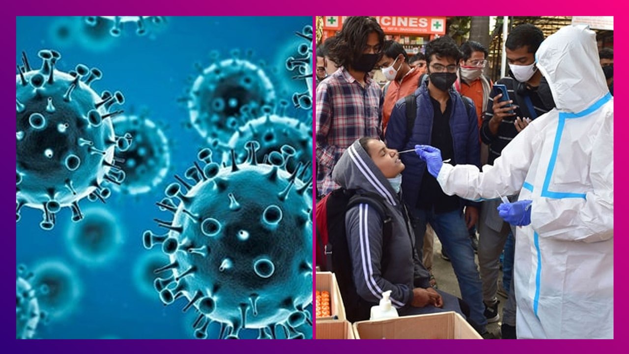 Nipah Virus এ আক্রান্ত ৫, কেরলে সংক্রমিতদের সংস্পর্শে ৭০০ জন