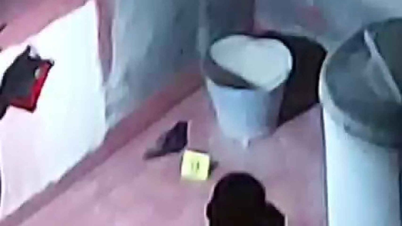 Vídeo
