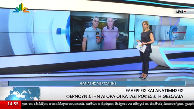 Ο Πρόεδρος Επιμελητηρίου Βοιωτίας, Παναγιώτης Αγνιάδης στο STAR