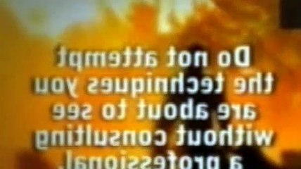 The Dog Whisperer Season 4 Episode 14 Curly And Baxter