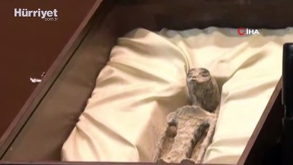 Meksika Kongresi'nde insana ait olmadığı iddia edilen fosiller sergilendi