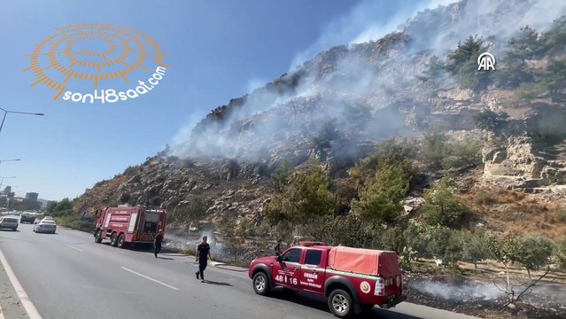 Aydın'da ağaçlık alanda çıkan yangına müdahale ediliyor