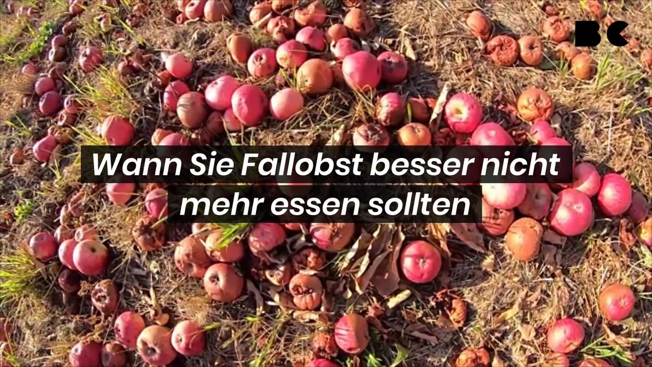 Vorsicht vor Faulstellen: Warum Fallobst giftig sein kann