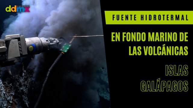 Descubren una fuente hidrotermal en fondo marino de las volcánicas Islas Galápagos