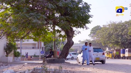 Dil Jalane Ke Siwa Kuch Nahin Milega   Pyari Nimmo   FLO Digital