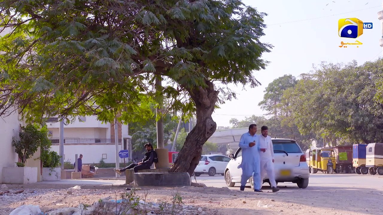Dil Jalane Ke Siwa Kuch Nahin Milega   Pyari Nimmo   FLO Digital