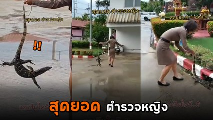 ตัวตึงตำรวจหญิง ปราบตัวเห้ด้วยมือเดียว จับยกชิล ๆ อย่างกับตุ๊กตา