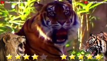 Tiger VS Lion Real Fight 2021 - Lion VS Tiger - Tough Creatures [Ep. 2]