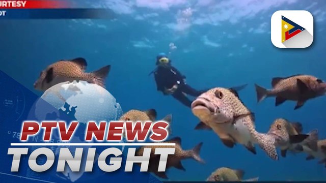 PH chosen as Asia’s leading dive site destination for the 5th time; DOT holds first Philippine Tourism Dive Dialogue
