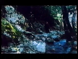 ΜΑΓΕΜΕΝΟΙ - 1995 - VHSRip - 720x540 part 1/1