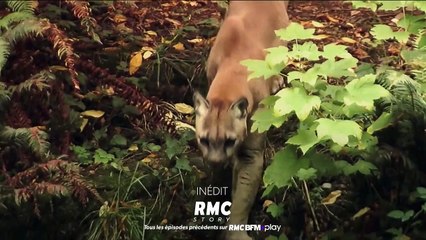 Retour à l’instinct primaire - 16 septembre