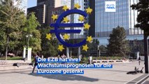 EZB erhöht Leitzins im Euroraum auf 4,5 Prozent - 10. Zinserhöhung in Folge