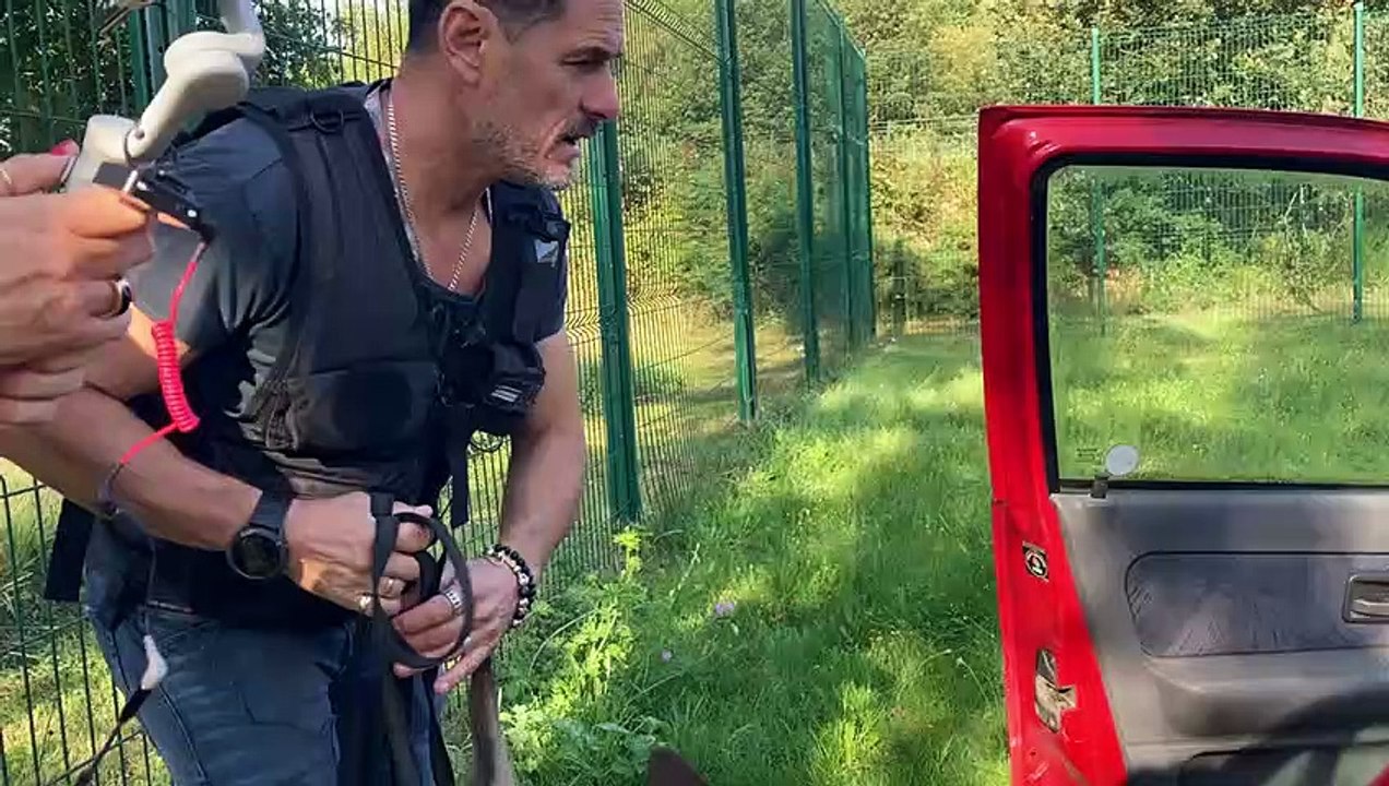 Vincent et Canna, l'une des deux équipes de recherches de stupéfiants de la police de la Seine-Maritime