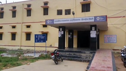 हिन्दी शोध शिक्षा में चढ़े सोपान,महाविद्यालय से होने लगी पीएचडी