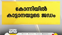 കോന്നി പാടം ഫോറസ്റ്റ് സ്റ്റേഷൻ പരിധിയിൽ കാട്ടാനയുടെ ജഡം കണ്ടെത്തി