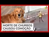 Golden Churros: vídeo mostra que PM foi atrás do cachorro para atirar em Guarapari (ES)