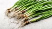 How to Store Green Onions (aka Scallions)—Plus Tips for Regrowing Them at Home