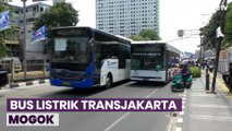 Bus Listrik Transjakarta Mogok saat Jalani Uji Coba