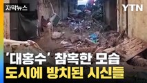[자막뉴스] '대홍수' 참혹한 모습...도시 곳곳에 방치된 시신들 '충격' / YTN