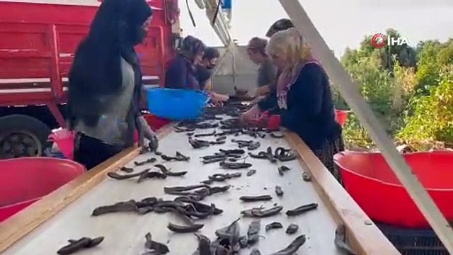 Geçen sene 40 liraydı, bu sene 8 lira! Ürünler elde kaldı