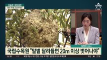 “말벌이 관자놀이를” SOS…“벌초 때 뱀 조심하세요”