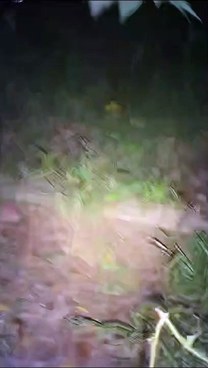Paranormal activity ghost on camera part 242