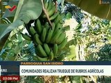 Zulia | Habitantes de la parroquia San Isidro cultivan rubros agrícolas para poder sobrevivir