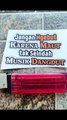 DANGDUTan boleh NGEBUT JANGAN #caption #katakatalucu #stiker #stikerlucu #hiburan