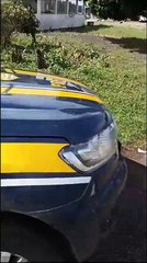 Casal levanta suspeita ao parar antes da PRF em SC e acaba pego com 332 kg de droga