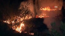 Çekmeköy'de ormanlık alanda çıkan yangın kontrol altına alındı