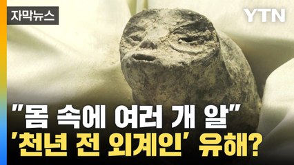 [자막뉴스] "몸 속에 여러 개 알" 미국이 숨기고 있는 외계인의 정체? / YTN