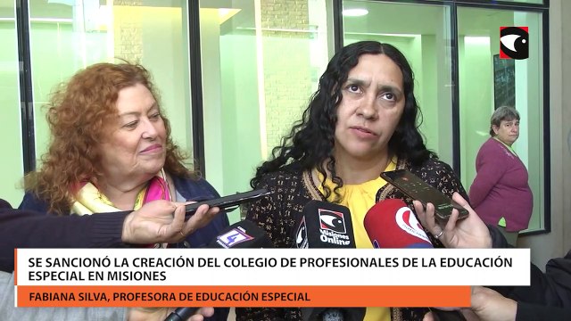 Se sancionó la creación del Colegio de Profesionales de la Educación Especial en Misiones