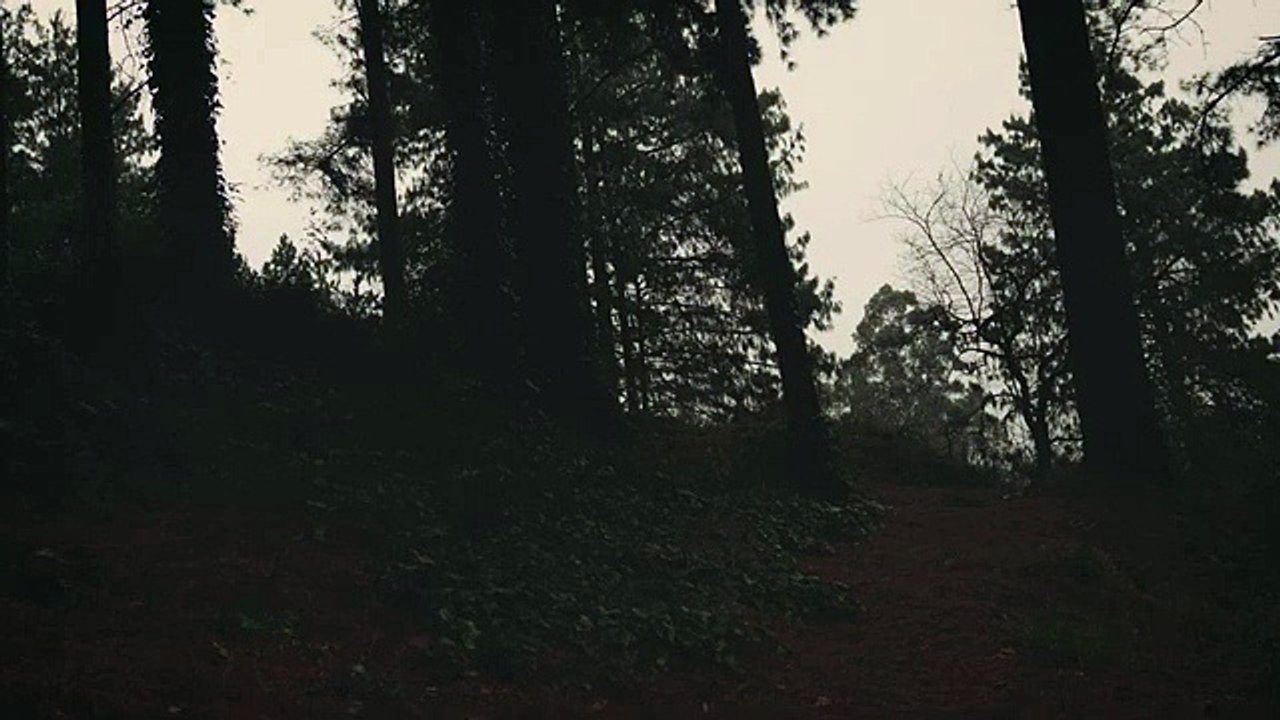 Whispers of Forest | Relaxing Ambient Meditation Music for Nourishment & Abundance