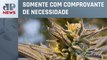 STJ autoriza pacientes a cultivar maconha para fins medicinais