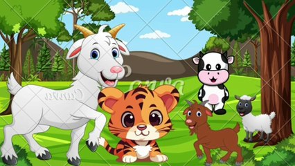 sher or bukri ki kahani