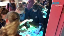WATCH: HunterWiSE STEM scholarship