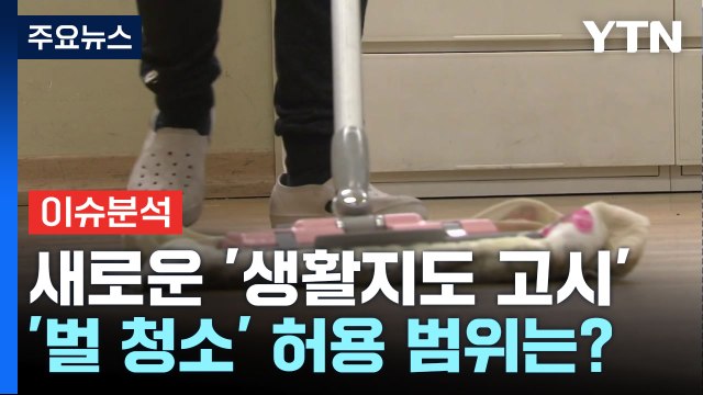 [뉴스앤이슈] '벌 청소' 되나 안 되나...교육부 고시에는? / YTN