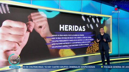 Hijos y perros, toda una responsabilidad