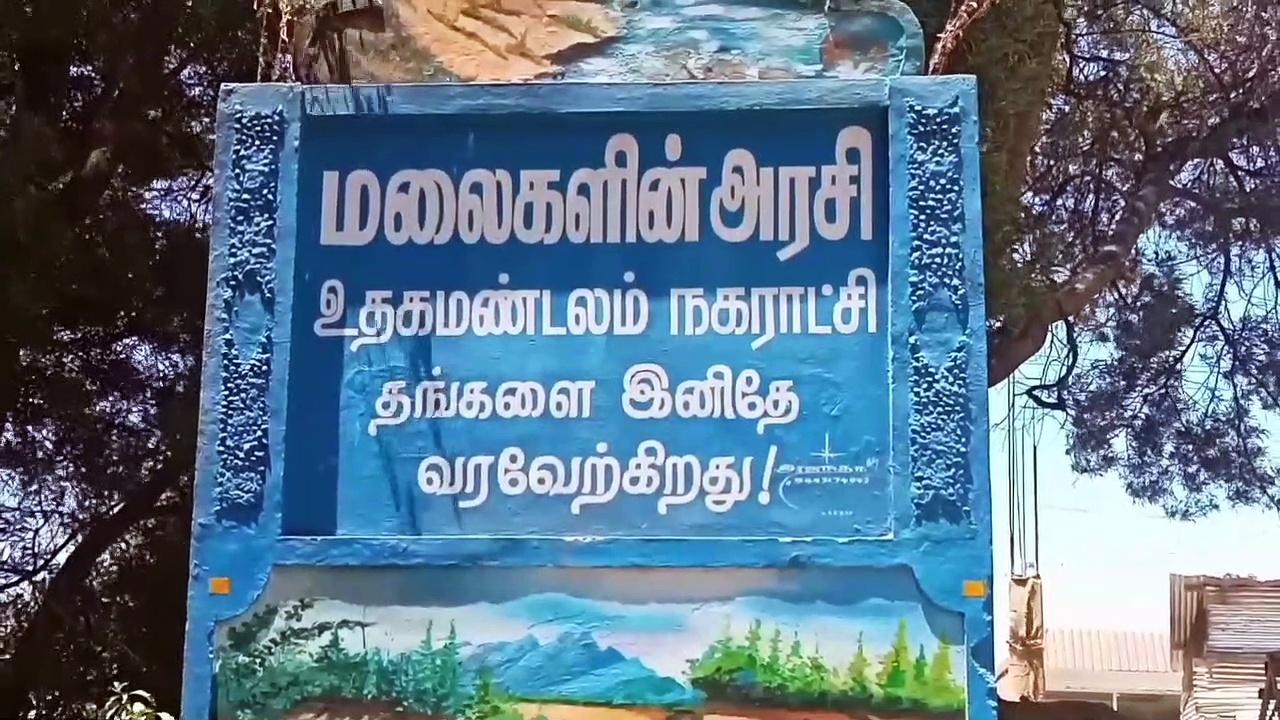 எல்லா பக்கமும் அணை கட்டுனா எங்கடா போவேன்; போக வழி இல்லாமல் சாலையில் திக்கு முக்காடிய சிறுத்தை
