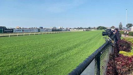 Democracy Manifest wins the Cameron Handicap | September 15, 2023 | Newcastle Herald