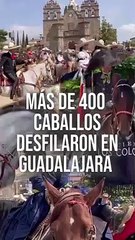 Más de 400 caballos desfilaron en Guadalajara, durante el marco de los 103 años de la charrería   #TuNotiReel